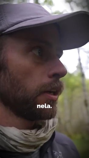 What he saw in the forest will send shivers down your spine.