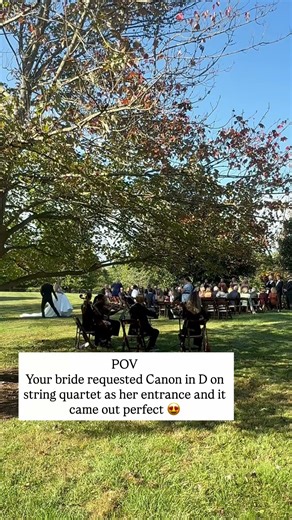 Canon in D live at a wedding g