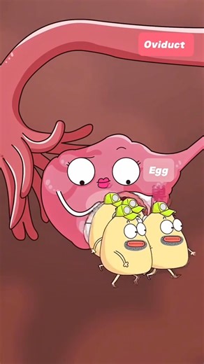 54K views · 997 reactions | What Happened When You….. Got Pregnant in Both Wombs ..!!#animation #funny #reelsfypシ | Health Manager | Facebook