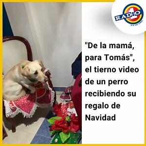 595K views · 14K reactions | El tierno animal se robó los corazones...