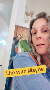 She said hang on mom, why aren’t the boys up?! #rideorfly #lifewithMaybe #midlifeawakening #greencheekconure #40something | Kristin Johnson