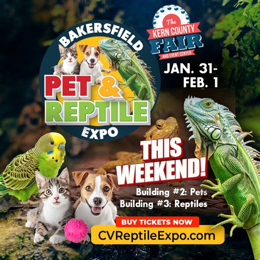 Central Valley Reptile Expo on Instagram: "THIS WEEKEND! 🐾🦎 Bakersfield Pet & Reptile Expo - January 31 – February 1, 2026📍 Kern County Fair and Event Center | Bakersfield, CA 🎟 ONE TICKET – TWO EXPOS! 🐾 Pet Expo – Building #2 🦎 Reptile Expo – Building #3 The ultimate Pet & Reptile Expo! Enjoy a family-friendly weekend with pets and reptiles in separate buildings, exclusive show-only deals, and unforgettable animal experiences. 🦎 Reptile Expo – Building #3 • Snakes, geckos, lizards, beard