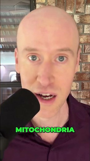 Boost Your Energy: How PQQ Makes More Mitochondria!