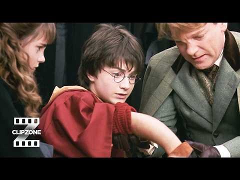 Harry Potter and the Chamber of Secrets | Dobby's Rogue Bludger | ClipZone: Heroes & Villains