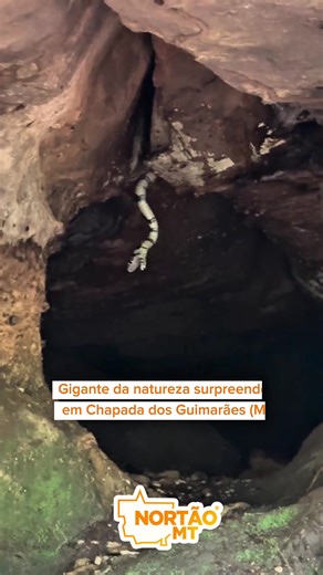 Caninana Gigante em Chapada dos Guimarães