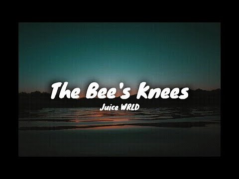 Juice WRLD - The Bee's Knees [Lyrics]