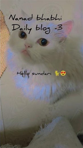 🐈Hello sundari 🐈 || daily blog -3🙌 #nanadbhabhibond #minivlog #nanadbhabhijodi #cooking #song