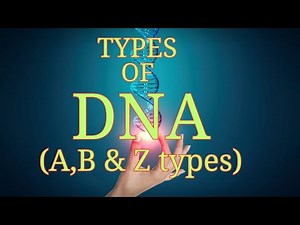 A B Z Types of DNA‪@Harun-biozone‬
