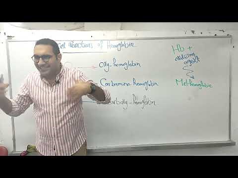Blood physiology Crash course - 2