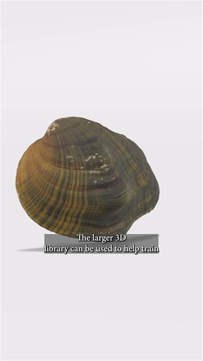 38K views · 489 reactions | They may look like a snot-filled rock,...