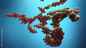 Mass migration movement. clown fish, Crowd of fishs behaviour. Flocking boids simulation. Swarm formation. luma matte, Clownfish animation, swimming in a coral reef, 3d render Stock Video