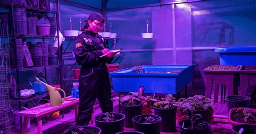 Inside Mongolia’s ‘Mars camp’: The extreme adventure that wants to turn tourists into astronauts