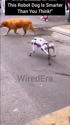 This AI Robot Dog Just Shocked Everyone!
