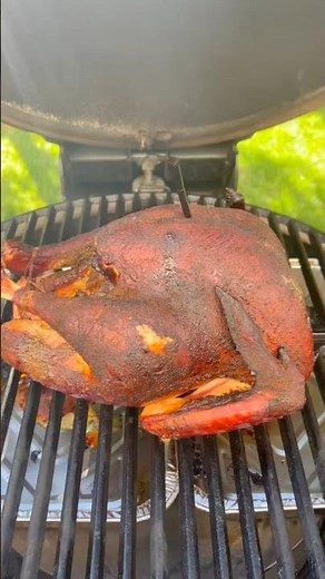 Juicy Stuffed Thanksgiving Turkey | BBQbyLeo