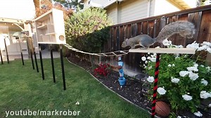 Mark Rober's by Mark Rober - Dailymotion