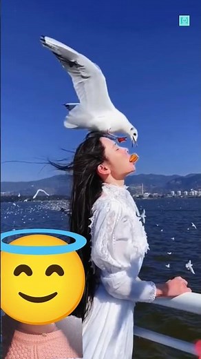 “This Bird Dances to Trick Worms Into Coming Out!”#facts #shots