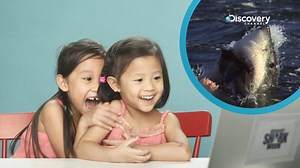 Watch these kids get up close and personal with sharks! Shark Week starts tonight at 9PM(SEA/MY), 8PM(BKK/JKT) and 8.10PM(MNL) only on Discovery Channel! #DiscoverySEA #SharkWeek | Discovery Channel Southeast Asia