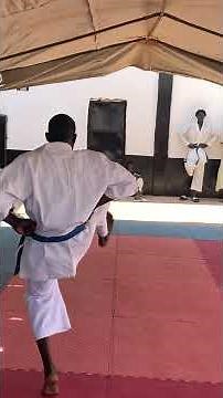 Karate Training for Beginners |Complete Shotokan Karate Basic Training Guide #shotokan #martialarts