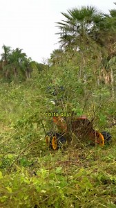 8.9K views · 985 reactions | Motocortadoras ROLAND H  Desmalezar ahora es una tarea fácil y rápida  ¿Todavía no las conocés? ✔️Industria 100% Argentina. ✔️Máximo rendimiento y durabilidad. ✔️Creamos Modelos para cada tipo de terreno y maleza. ✔️Chásis con garantía de por vida. ✔️Servicio Técnico Especializado. ¡CONSULTANOS AHORA! UN ASESOR ESTÁ EN LÍNEA | Roland H "Carne 'e Perro" | Facebook