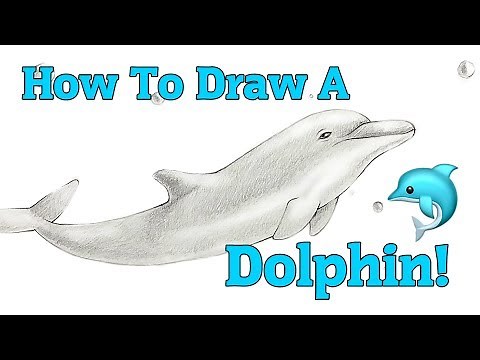 How To Draw A Dolphin
