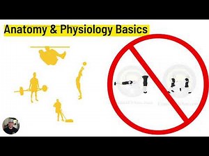 Chap 1: The Basics - The BEST ACFT Exercises for your PT Plan