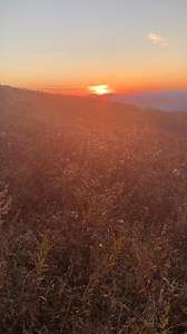 1.3K reactions · 255 shares | Sunset at Centennial Park overlook on Backbone Mountain between Parsons and Thomas, WV. #219 #gettuckered | Tucker County, West Virginia | Facebook