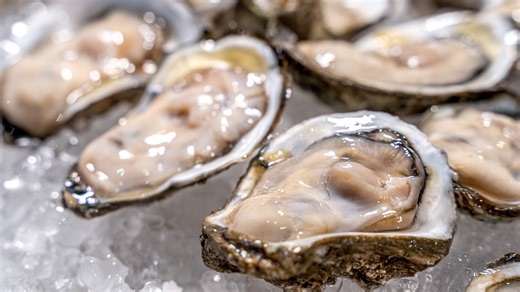 Salmonella outbreak linked to raw oysters sickens dozens across U.S., including in Florida