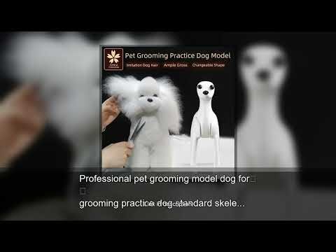 Professional pet grooming model dog for grooming practice dog standard skeleton model dog pet s