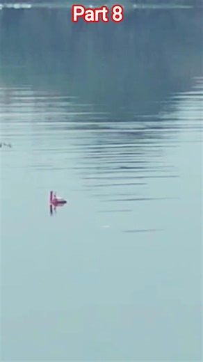 RC Boat test a Lake part 8 #shorts