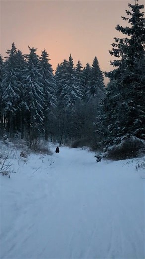 Rodelspaß auf dem @erlebnisbocksberg_hahnenklee 🛷🍀 Mit der Kabinenbahn geht es bei wunderbarer Aussicht auf den Hausberg. Oben angekommen könnt ihr auf dem 200m langen "Böckchen" die spaßige Abfahrt genießen. Um in den Ort zurückzukehren könnt ihr die 1,5 km lange Winterrodelbahn runtersausen. 🤩 #glueckbeginntinhahnenklee #winterglueckinhahnenklee #erlebnisbocksberg #winterimharz #hahnenklee | Hahnenklee.Bockswiese
