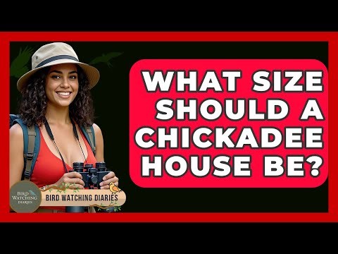 What Size Should A Chickadee House Be? - Bird Watching Diaries