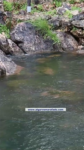 A beleza das fontes de Alte