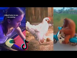 Random videos I watch at 2 a.m. #3