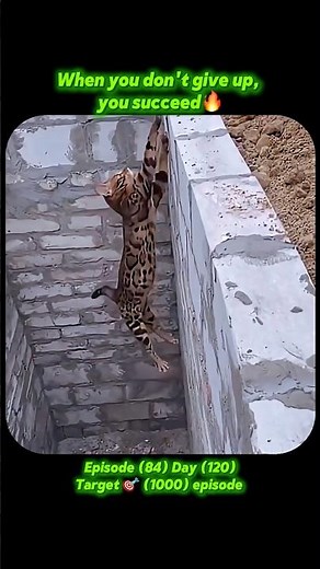 Never give up brother🔥#shorts