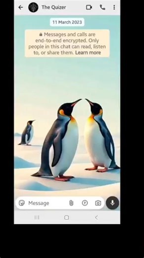 Spot the Myth in 5 Seconds ⏳ Penguin Challenge 🐧