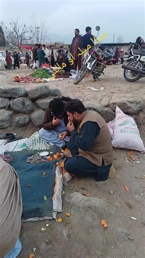 Manda Mela - A Vibrant Festival Experience