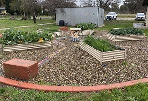 Healthy schools - Gateway Health