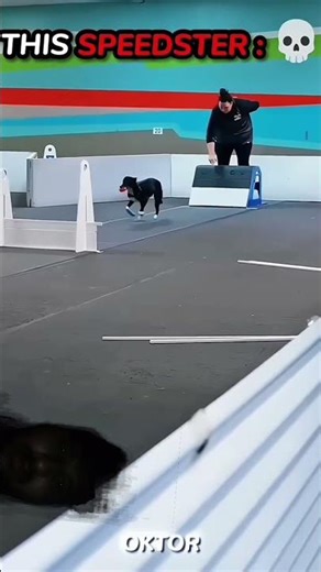 Unbelievable! These Dogs Can Run Faster Than The Flash!