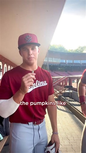 Fall ball, fall snacks | South Carolina Baseball