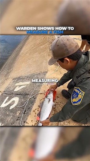 Warden Shows how to measure a fish 🐠