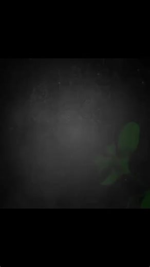 Terra Rossa - Bunga Angkasa (Cover by Amierre) Smule Compilation