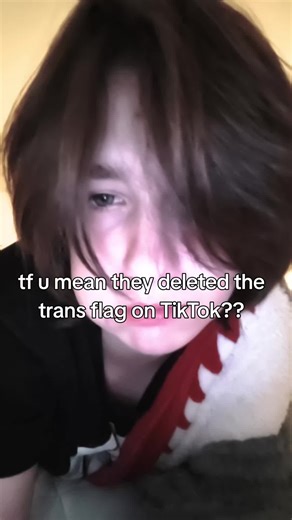 The Disappearance of the Trans Flag on TikTok