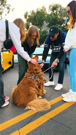 Here's every car that showed up for Arizona Car Week #carsandcoffee #carshow #scottsdale #arizona