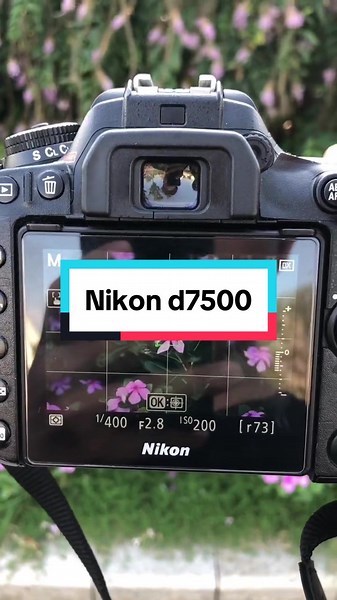 King of Crop: Exploring the Nikon D7500 Camera