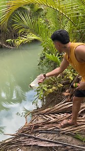 2M views · 10K reactions | Unbelievable mullet fishing | Buddydik tv | Facebook