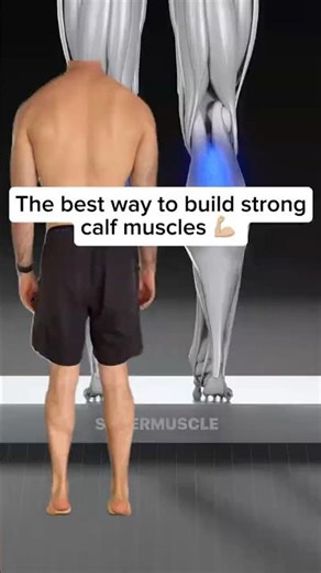 The Best Way to Build Strong Calf Muscles
