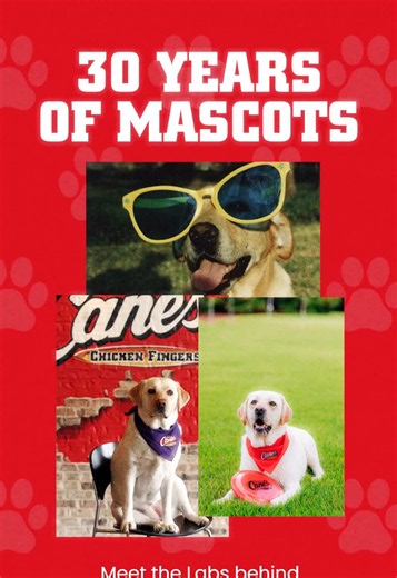 The Mascots behind 30 years of Raising Cane’s. 🐾 This National Dog Day, we’re throwing it back to Cane I, Cane II and Cane III.