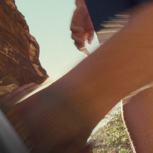 1.6K reactions · 252 shares | Get the data and insights you need to unlock your full potential — all with zero distractions and one less screen. | WHOOP | Facebook