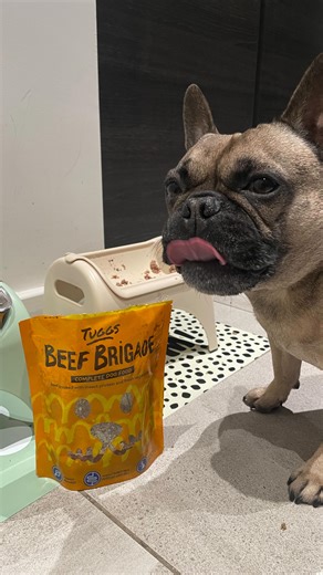 Rambo the French Bulldog on Instagram: "One thing I’m not going to be changing is Rambos food Why? 🐾 He loves it and meal times always ends with a clean bowl 🐾 it’s human grade quality food 🐾 it’s high in protein, vitamins and minerals And you can try it for 7 days from just £7 - check out the link in my bio 🙌 #whatsrambodoing #dogmumlife #dognutrition #dogsdinner #dogobsessed"