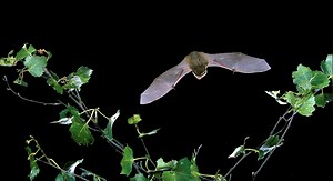 Regenerative farming project to connect communities, farmers and wildlife